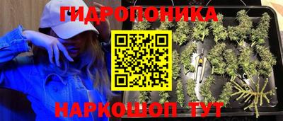 крисы Бугуруслан